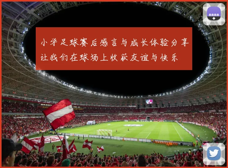 小学足球赛后感言与成长体验分享让我们在球场上收获友谊与快乐