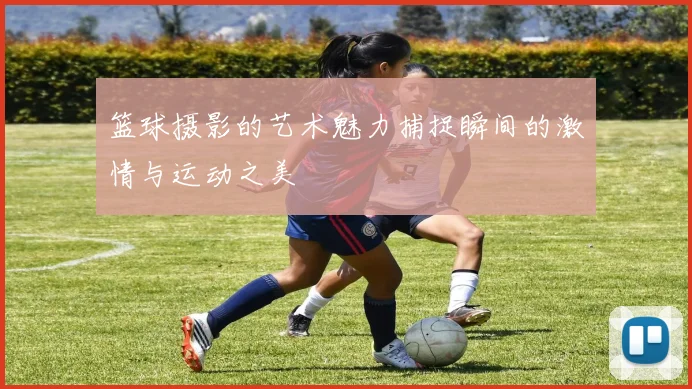 篮球摄影的艺术魅力捕捉瞬间的激情与运动之美