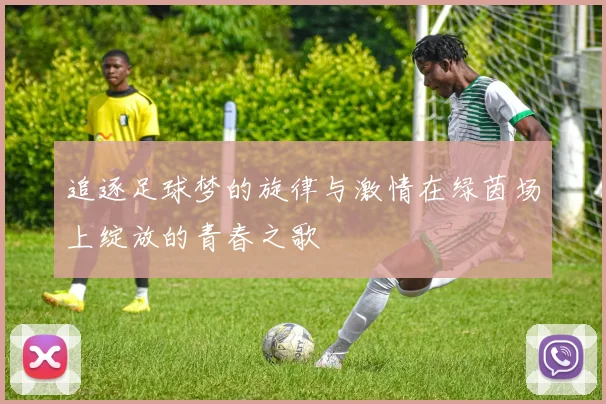 追逐足球梦的旋律与激情在绿茵场上绽放的青春之歌